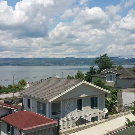 Sari Sakarya (Marmara)