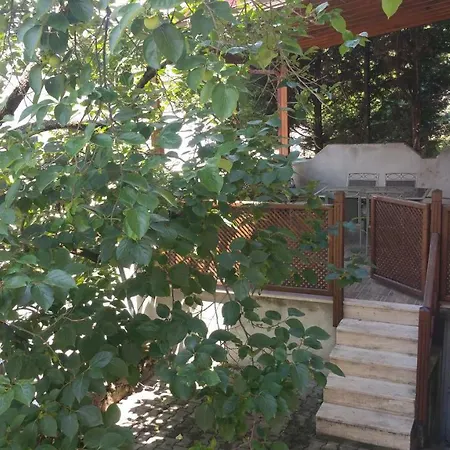 Sari Villa Sakarya (Marmara)